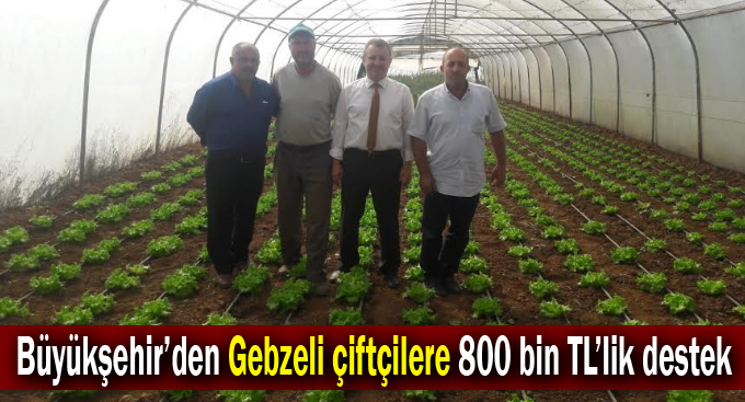 Büyükşehir’den Gebzeli çiftçilere 800 bin TL’lik destek