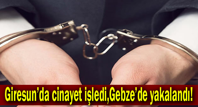 Giresun'da cinayet işledi,Gebze'de yakalandı!