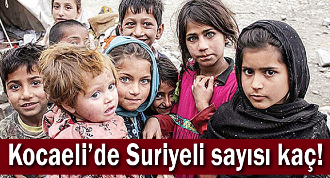 Kocaeli’de Suriyeli sayısı kaç!