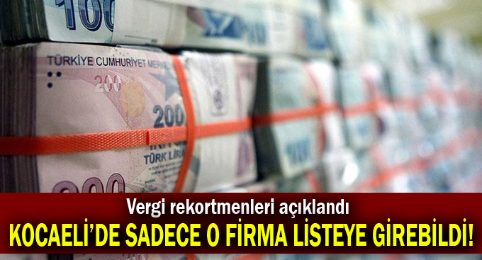 Rekortmenler arasına Kocaeli'den sadece o firma girebildi!