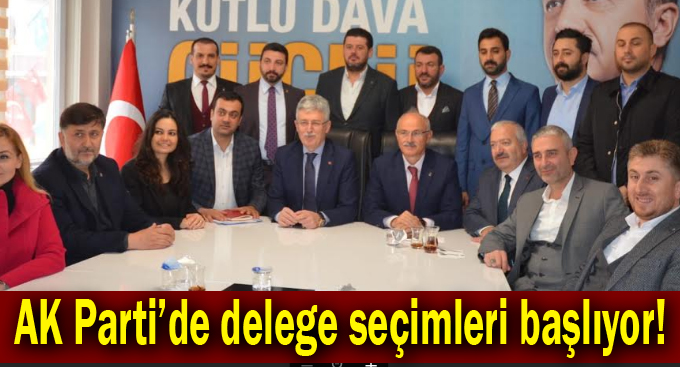 AK Parti’de delege seçimleri başlıyor!