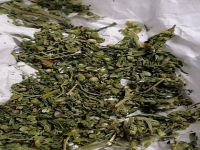 Zehir taciri için çalışma başlatıldı!