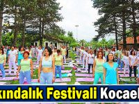 Farkındalık Festivali Kocaeli'de