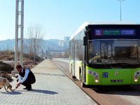 UlaşımPark’tan hayvanlara yardım eli