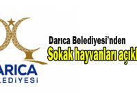 Darıca Belediyesi’nden sokak hayvanları açıklaması