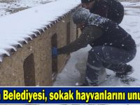 SEVİMLİ DOSTLARIMIZ İÇİN BESLENME NOKTALARI OLUŞTURULDU