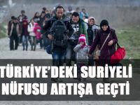 Türkiye'de ki Suriyeli nüfusu artışa geçti