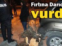 Fırtına Darıca'yı vurdu!