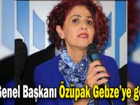 EYT Genel Başkanı Gönül Boran Özüpak Gebze’ye Geliyor