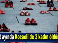 Şubat ayında Kocaeli’de 3 kadın öldürüldü!
