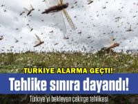 Türkiye'yi bekleyen yeni tehlike!