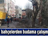 Gebze'de Park bahçelerde budama çalışmaları