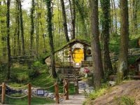 Orman'ya 2 hafta süreyle kapatıldı