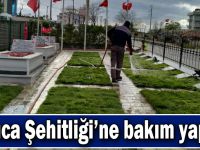 Darıca Şehitliği’ne bakım yapıldı