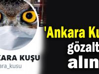 Ankara Kuşu Gebze'de gözaltına alındı!