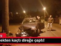 Köpekten kaçtı direğe çaptı!