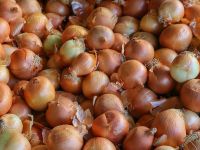 Kocaeli’nin zam şampiyonu kuru soğan oldu!