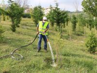 Yeni arazözler ile ağaçlar susuz kalmayacak