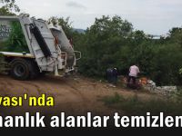 Dilovası’nda ormanlık alanlar temizlendi