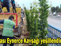 Dilovası Eynerce Kavşağı yeşillendiriliyor