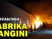 Dilovası'nda fabrika yangını!