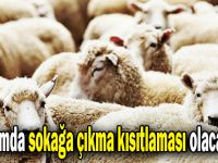 Bayramda sokağa çıkma kısıtlaması olacak mı?