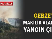 Gebze'de makilik alan yandı!