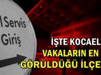 Sağlık Müdürü, Kocaeli en çok vaka görülen ilçeleri açıkladı!