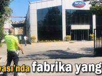 Dilovası’nda fabrika yangını!