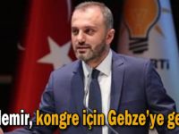 Kandemir, Gebze kongresine gelecek