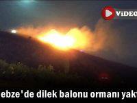 Gebze'de dilek balonu ormanı yaktı!