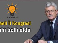 AK Parti İl kongre tarihi belli oldu!