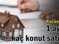 Kocaeli’de 1 ayda kaç konut satıldı?