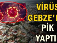 Virüs Gebze’de pik yaptı!