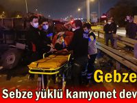 Sebze yüklü kamyonet devrildi!