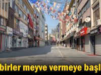 Tedbirler meyve vermeye başladı!