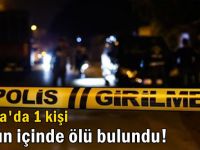 Darıca'da 1 kişi TIR'ın içinde ölü bulundu!