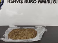 98 gram bonzai ile yakalandı!