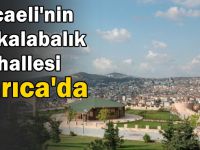 Kocaeli’nin en kalabalık mahallesi Darıca’da