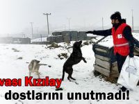 Dilovası Kızılay, can dostlarını unutmadı!