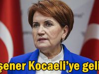 Akşener Kocaeli’ye geliyor