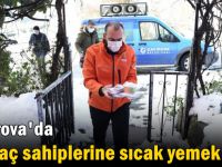 İhtiyaç sahiplerine sıcak yemek