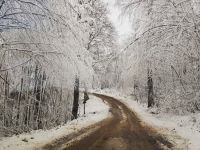 Kocaeli'nin yüksek kesimleri beyaza büründü