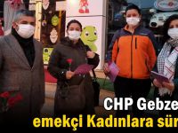 CHP Gebze’den emekçi Kadınlara sürpriz!