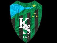 Kocaelispor'da bir pozitif vaka daha!