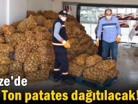 Gebze’de 150 Ton patates dağıtılacak!