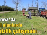 Yeşil alanlarda temizlik çalışması