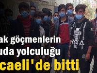 Kaçak göçmenlerin umuda yolculuğu Kocaeli'de bitti