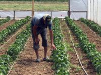 Büyükşehir, yüzde 50 hibe destekli seraları çiftçilere teslim ediyor