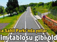 Darıca Sahil Parkı’nda yollar resim tablosu gibi oldu